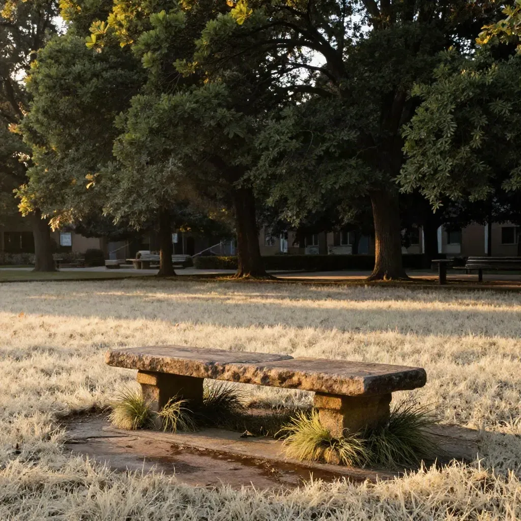 Kampusowy dziedziniec z kamiennym siedziskiem, trawą i linią drzew o zmierzchu.